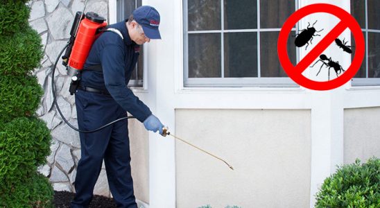 Bozyaka Gümüşkurt İlaçlama böcek ilaçlama ve haşere kontrolü — ilaclama-tr.com